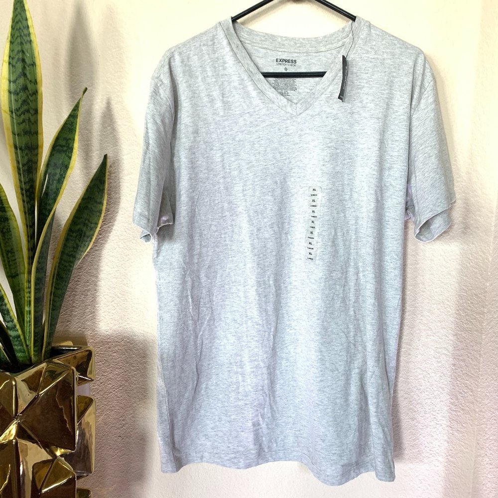 2 for $20 Express Men's Stretch V-Neck Shirt